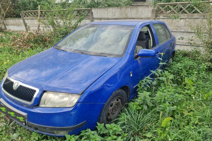 Trager / Calandru 6Y0 010 295 Q Skoda Fabia 6Y