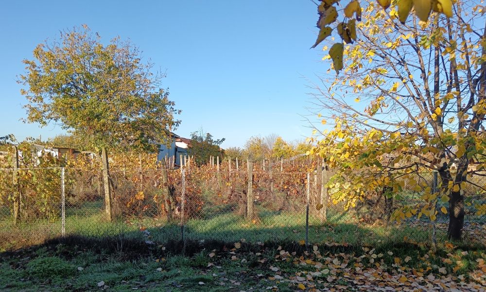 Продава се Парцел в с. Паничери, Област Пловдив - 900 кв.м за 6 €/кв.м - Снимка #2