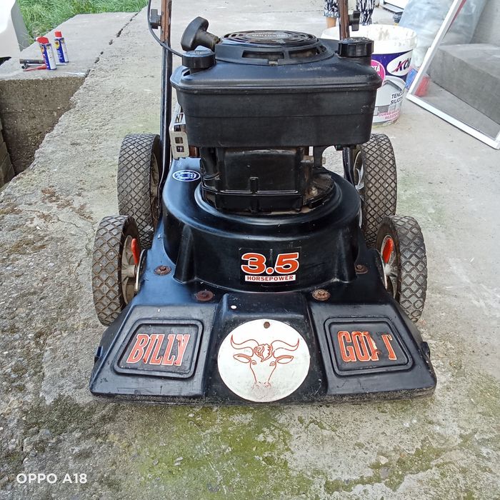 Aspirator pentru curte