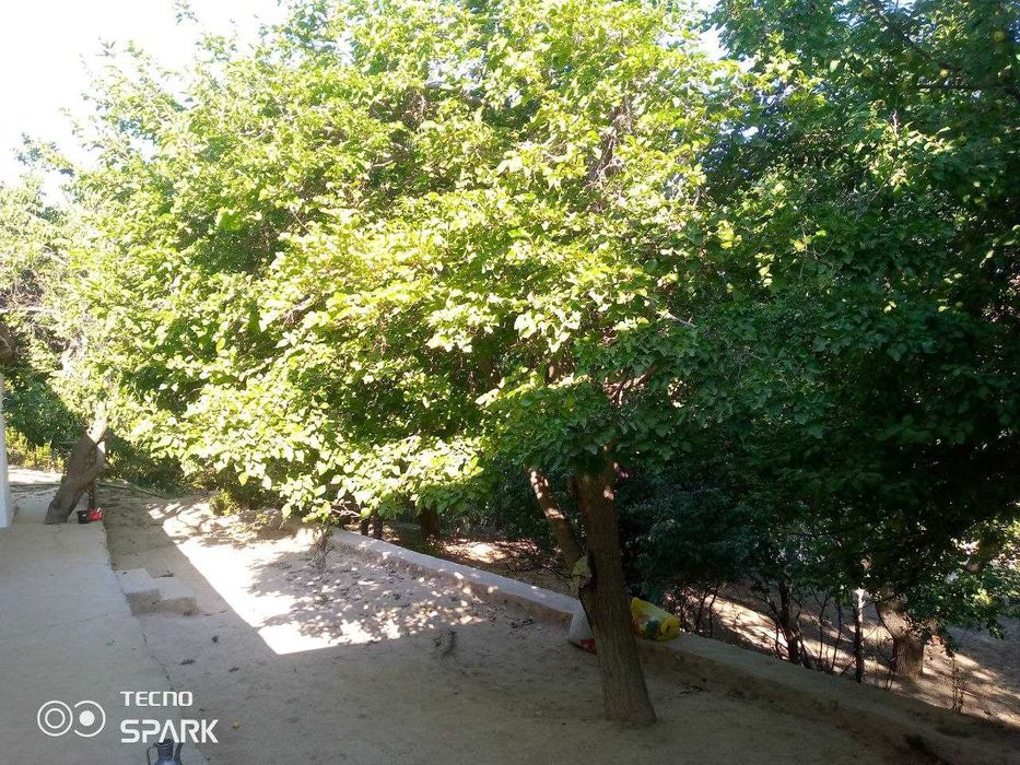 Кушработ туман Юкори Жуш МФЙ холи жой