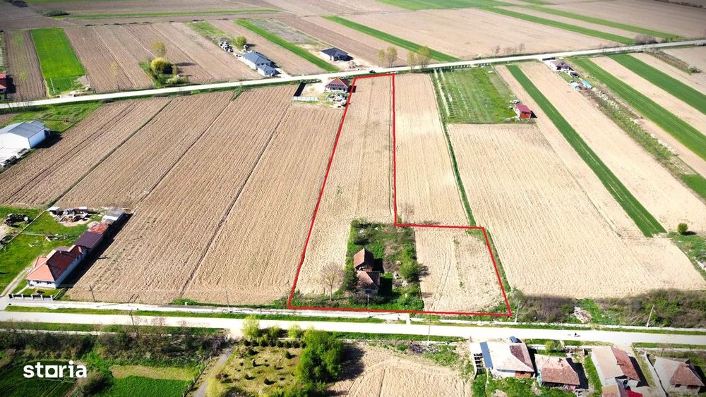 Teren Intravilan-7668mp-Ideal pentru parcelare