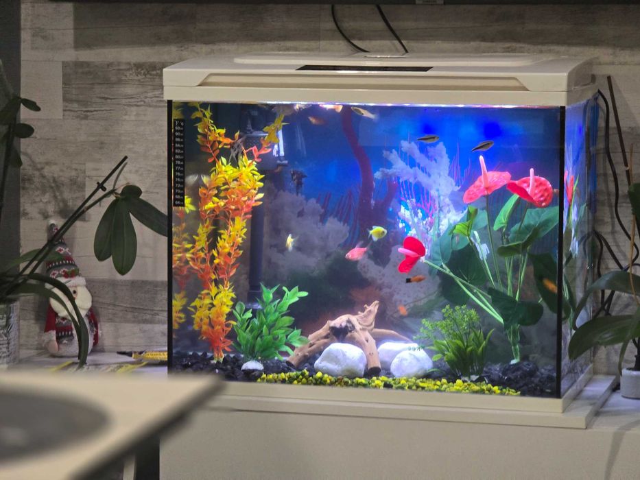 Аквариум за рибки