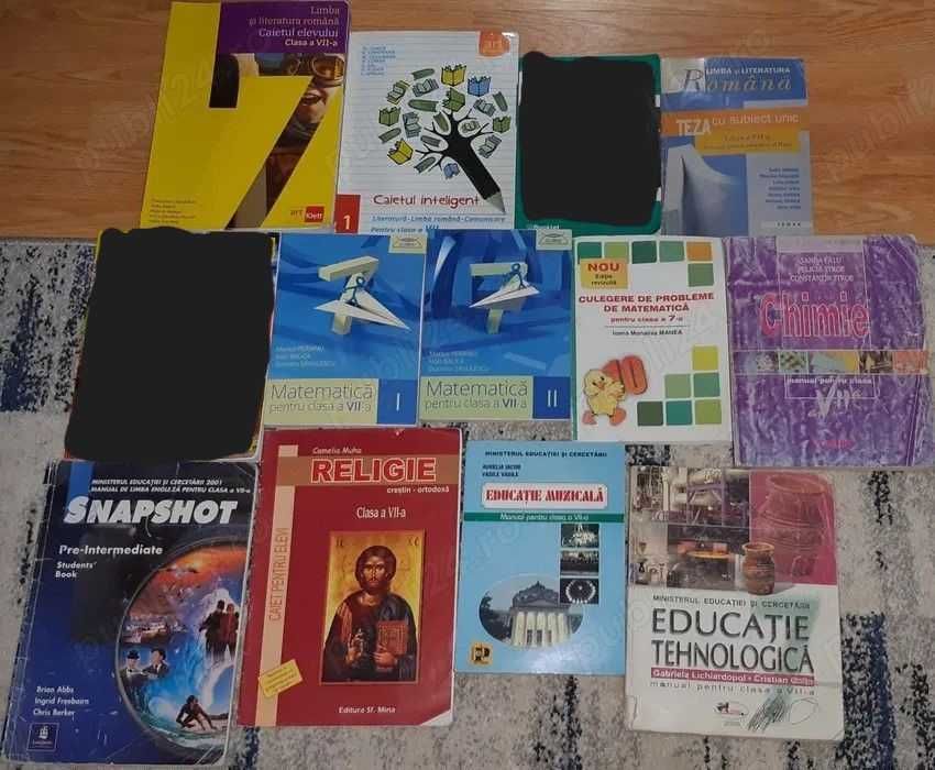Manuale/Culegeri clasa a VII-a