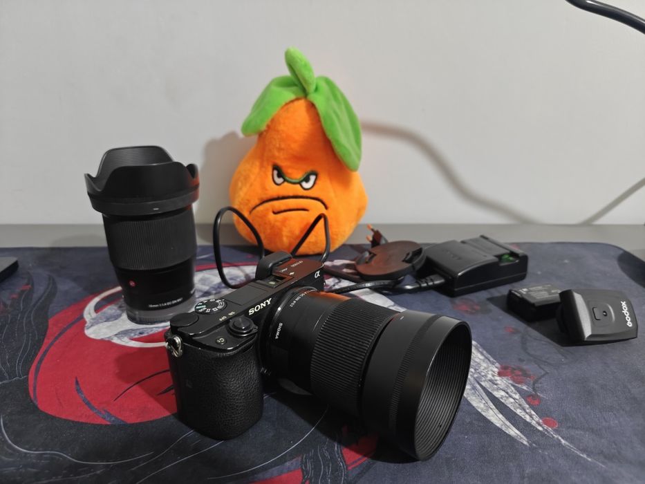 Sony a6300 фото и видео техника