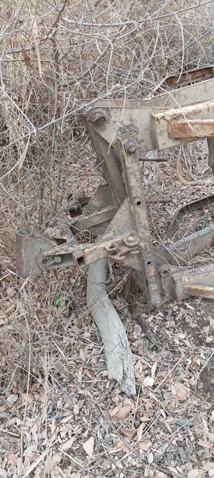 Pagurchik kavshasi MT3