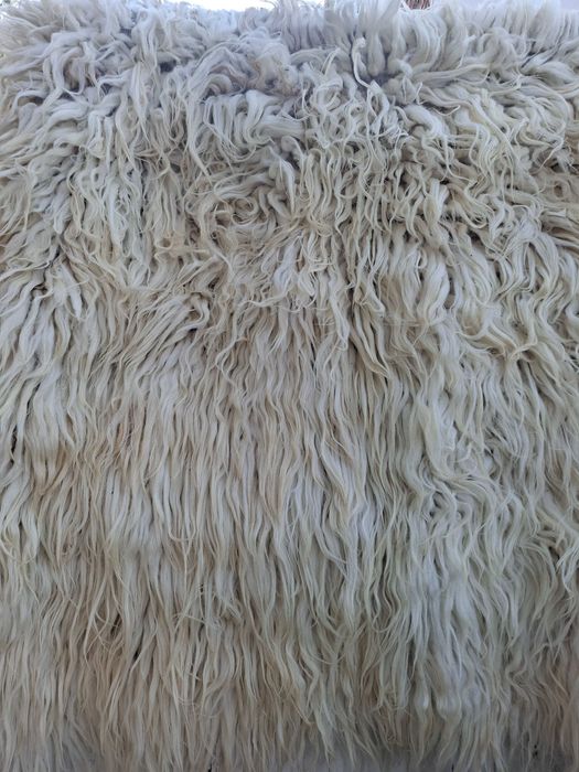 Китеници,губери,козяк