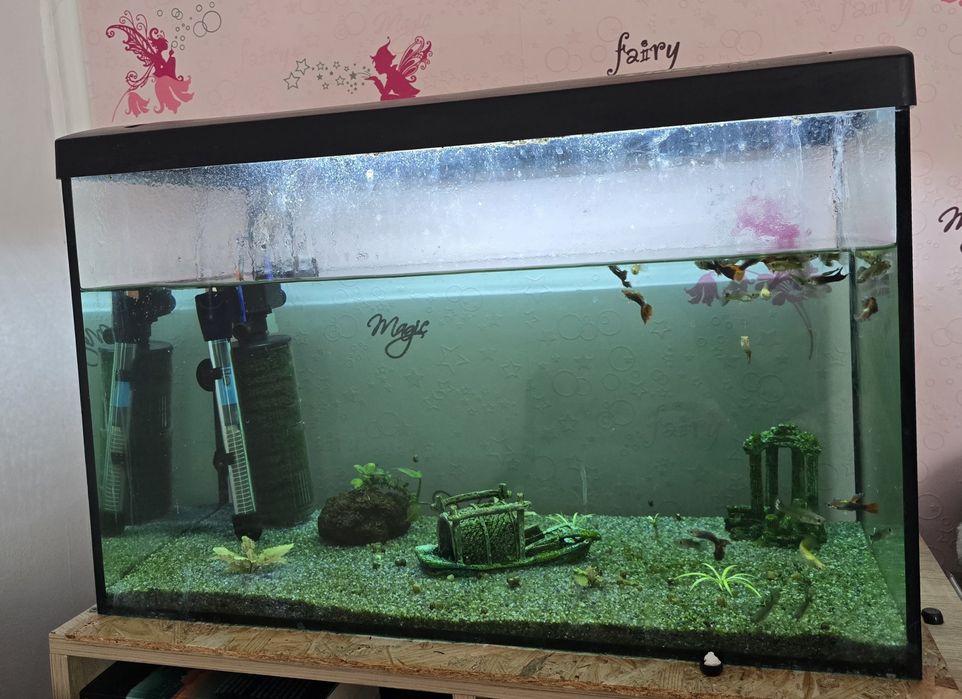 Se vinde acvariu pești