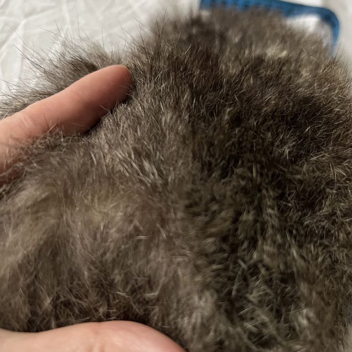 Caciula de blana de nurca