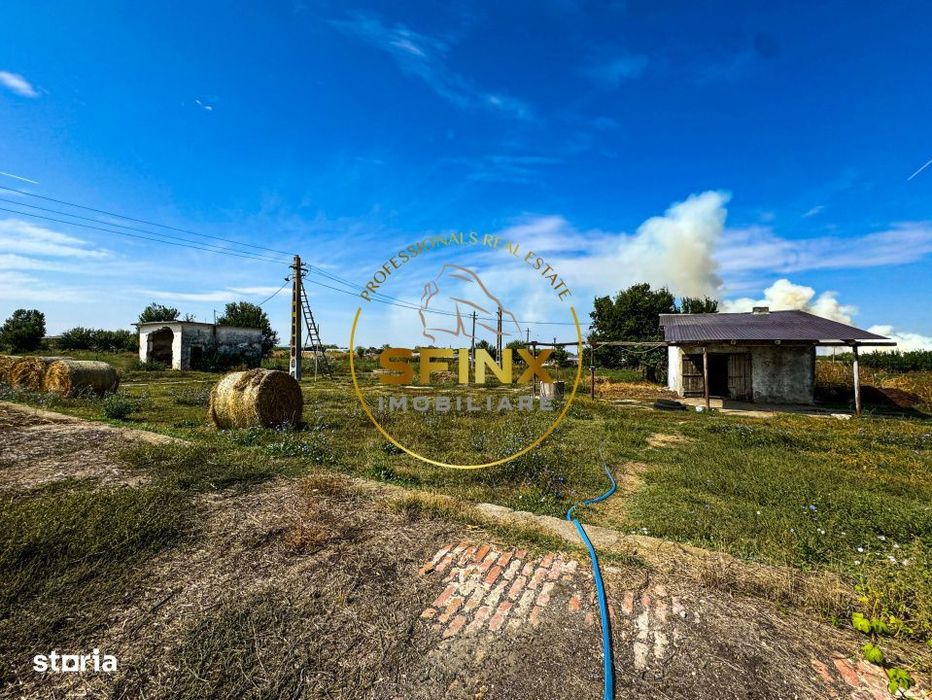 Teren intravilan 62000mp - ferma - logistica - depozitare