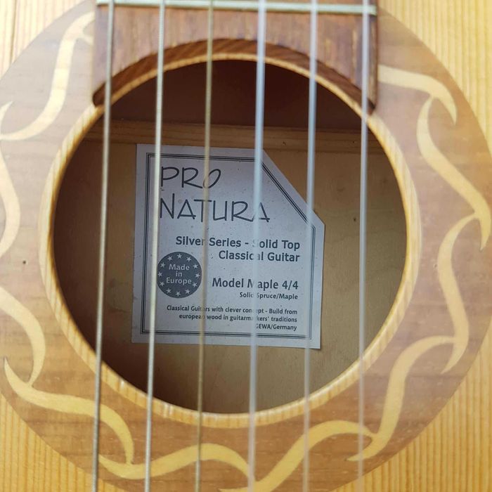 Chitara Pro Natura Silver 4/4 Maple