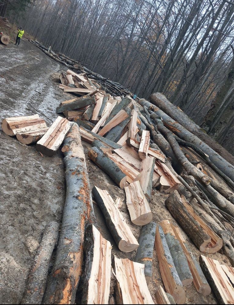 Sc vindem lemne de foc esențe tarii!