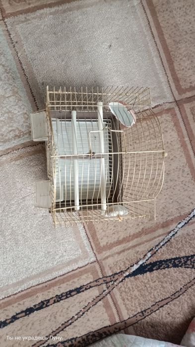 Продам клетку не дорого