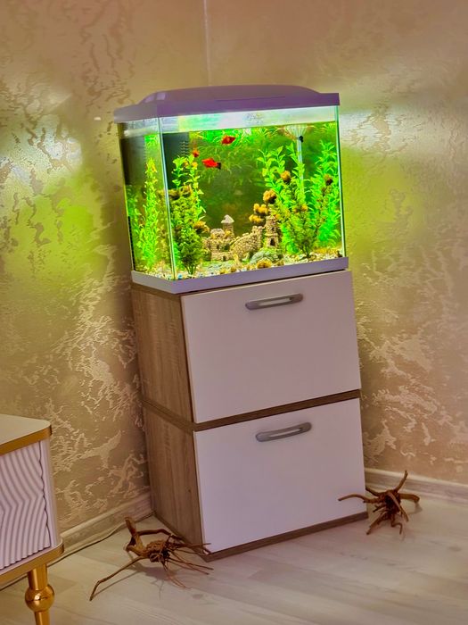 Аквариум 60 литра + шкафчето и рибките