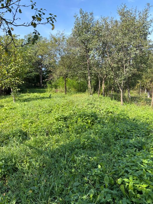 Casa la tara pt renovare