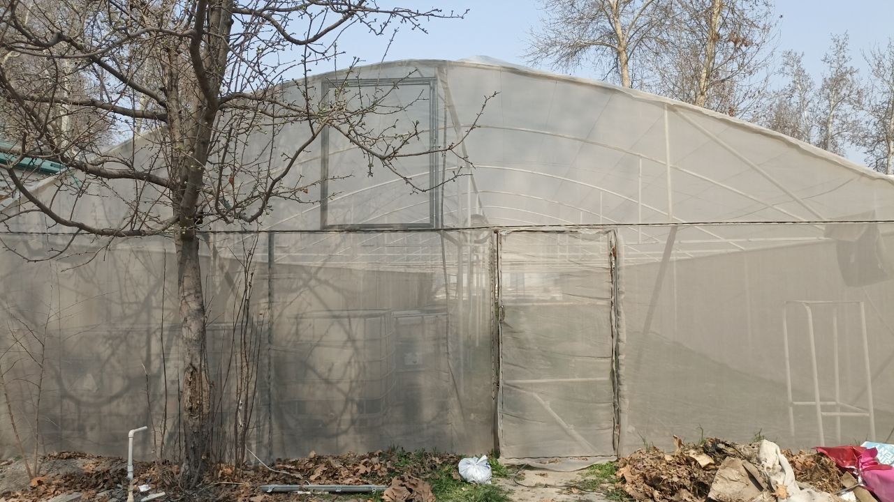 Парник теплица сотилади 40×9 m  1200 $