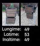 Jardiniere pt flori gradina