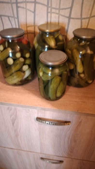 Продаются Огурцы солёные