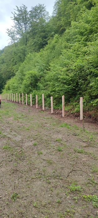 Stalpi de gard din stejar