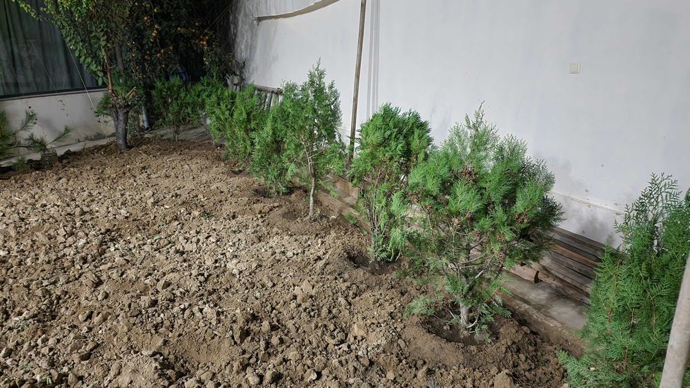 Продам Гест Хаус и  готовый бизнес! Кадастр готов к оформлению