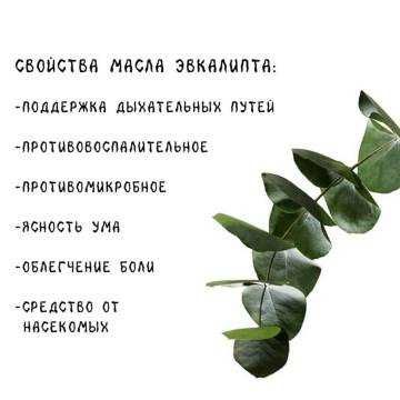 Пихтовое масло, Эвкалипт,Мята,Лимон, Апельсин,Бергамот,Кедр для бани