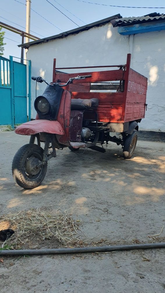 Муравей сатылады