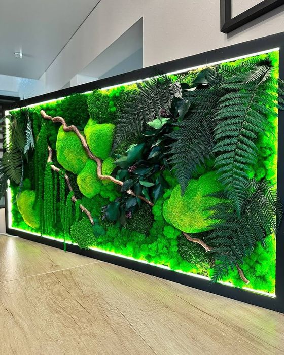 Живая зелёная стена из стабилизированного мха и растений люкс-класса