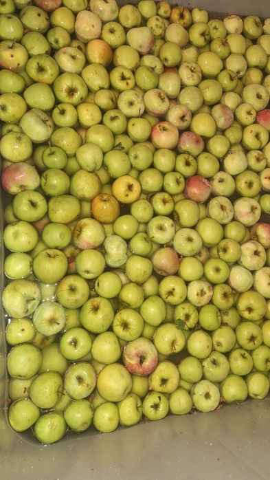 Suc mere 100% natural, pasteurizat, fără conservanti. ,