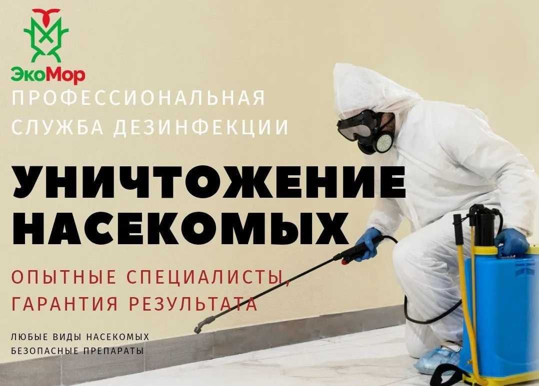 40%! Дезинфекция Дезинсекция Уничтожение клопов | Dezinfeksiya klop DE