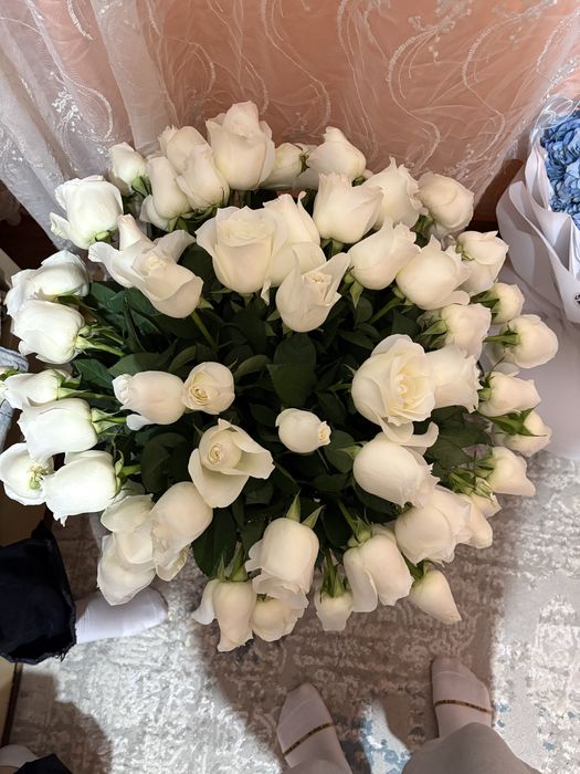 Роза-61 штук ақ түсті