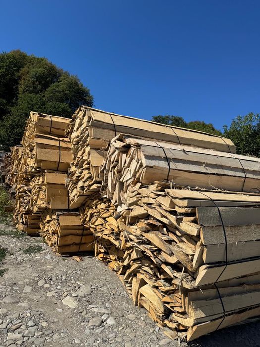 Laturoaie fag si brad