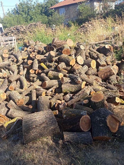 Продавам Дърва за огрев