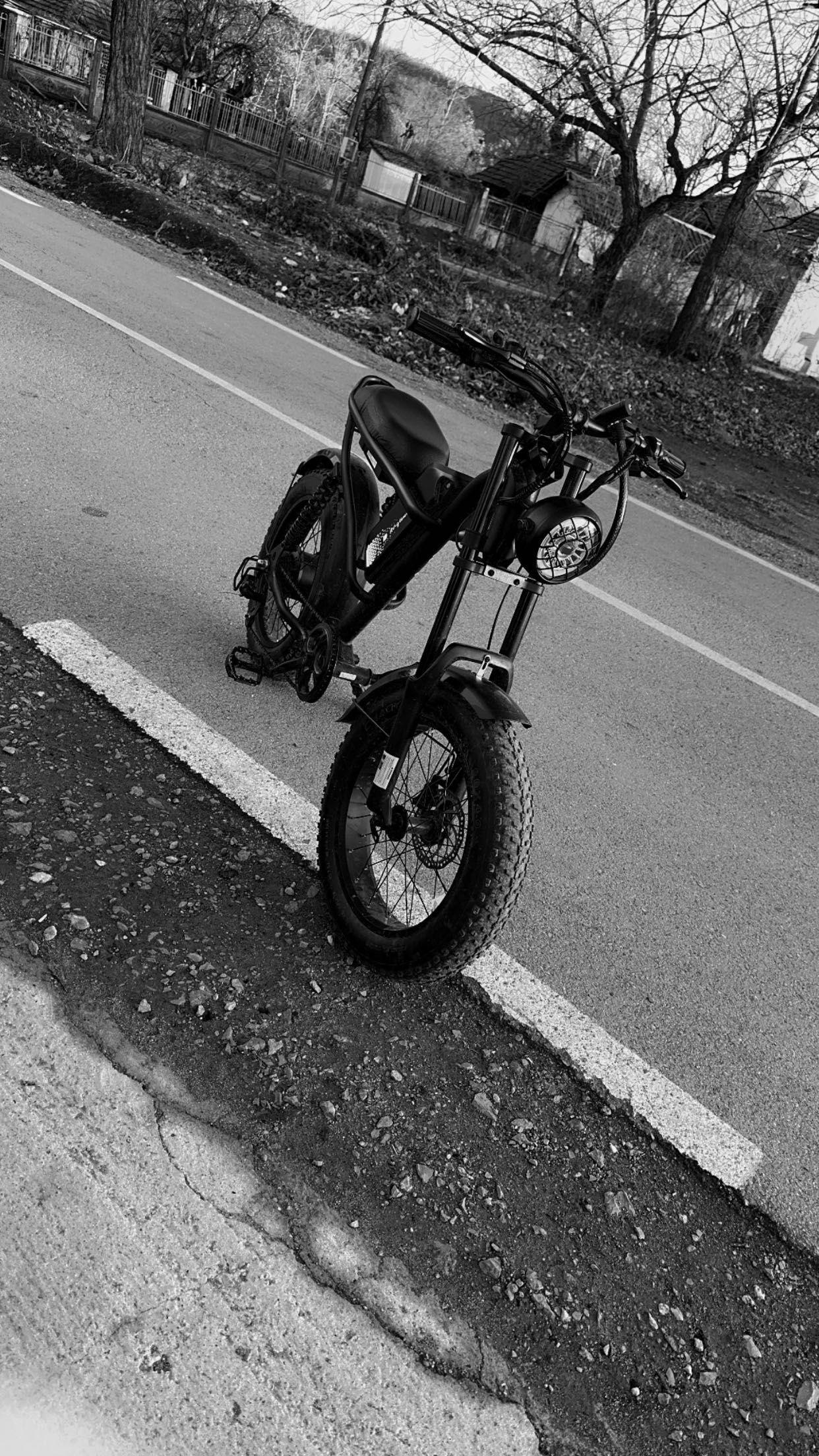 Електрическо колело riding times Z8