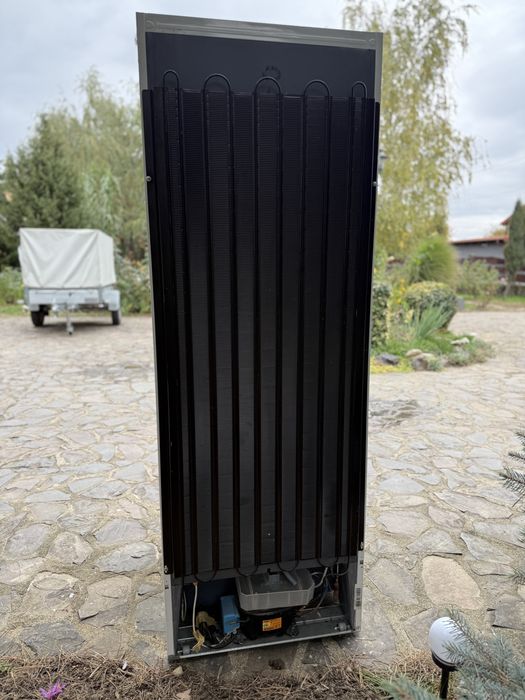 Vand Frigider cu Congelator IGNIS