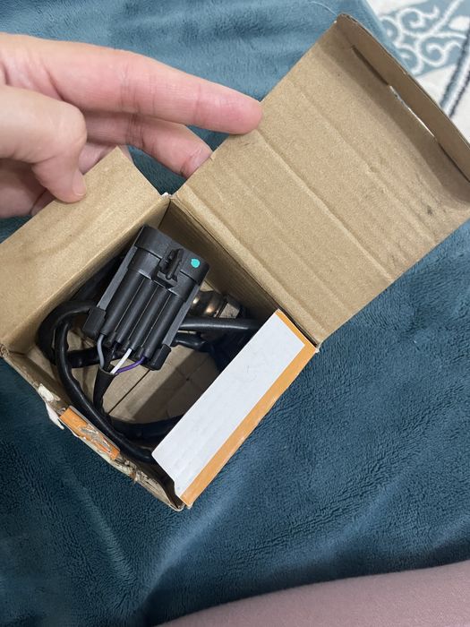 Лямбдозонт