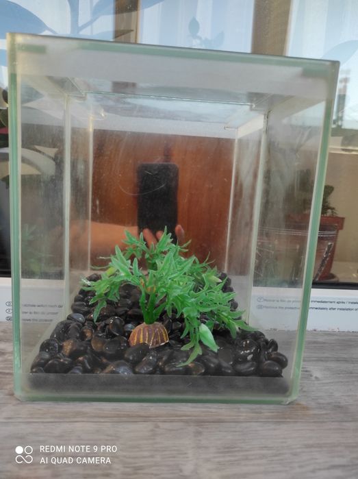 Аквариум для рыбок