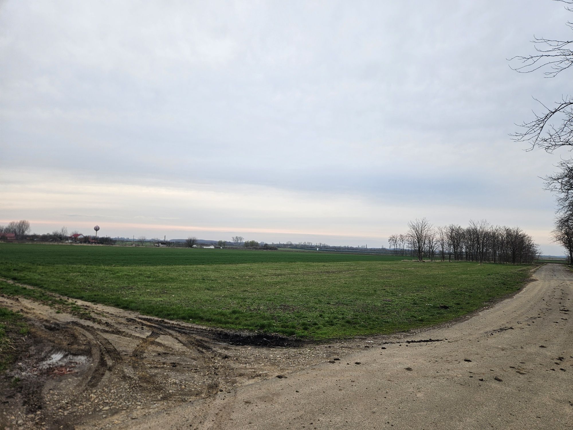 OCAZIE Teren Intravilan 2500mp / 15e/mp la 14km de Oradea in Santaul M