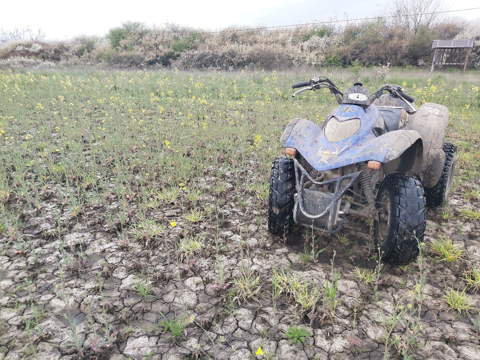 Vând s au schimb atv