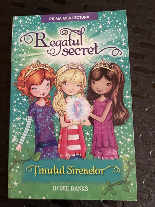 Regatul secret - carti pentru copii 6-10 ani