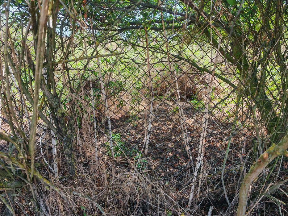 Продава се Парцел в с. Маленово, Област Ямбол - 2000 кв.м за 2 €/кв.м - Снимка #6