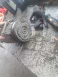 Compresor clima Opel Vectra c 1.9