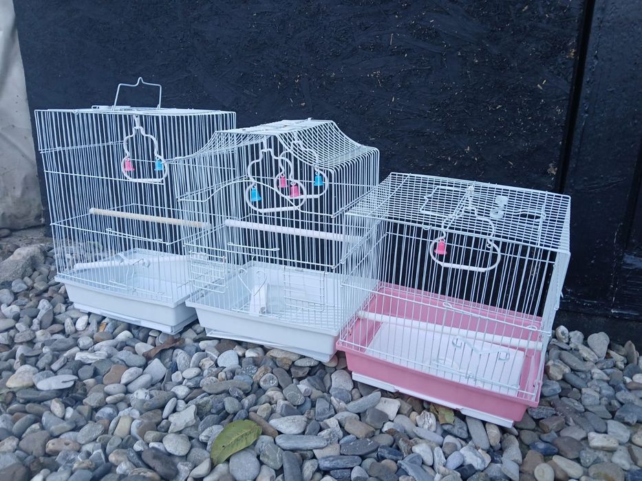 3 Colivii Custi Peruși Zebre Canari