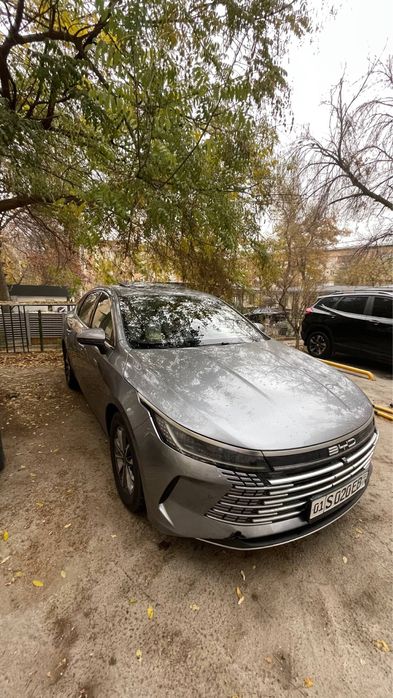 BYD Chazor DM-i  2024