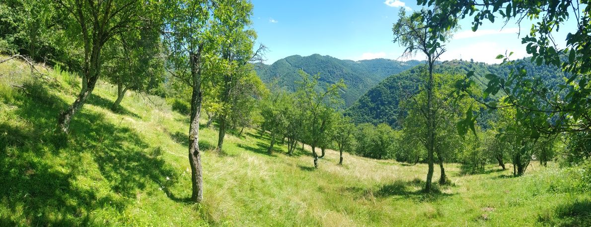 Teren cabana la munte (Sugag Transalpina)