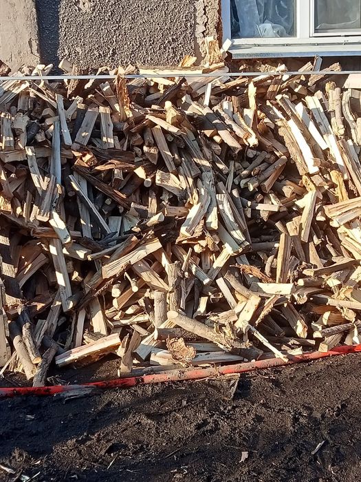 Дрова карагач,яблоня, клён