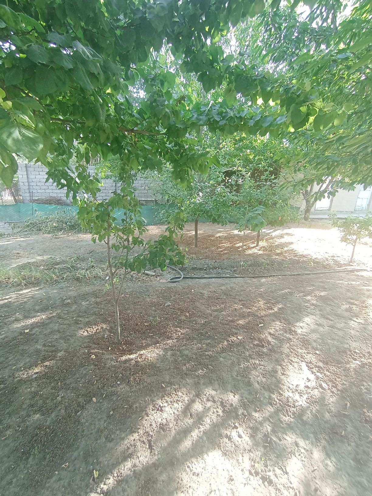 Yer sotiladi 3totik manzil Toshkent dengizi yaqinida