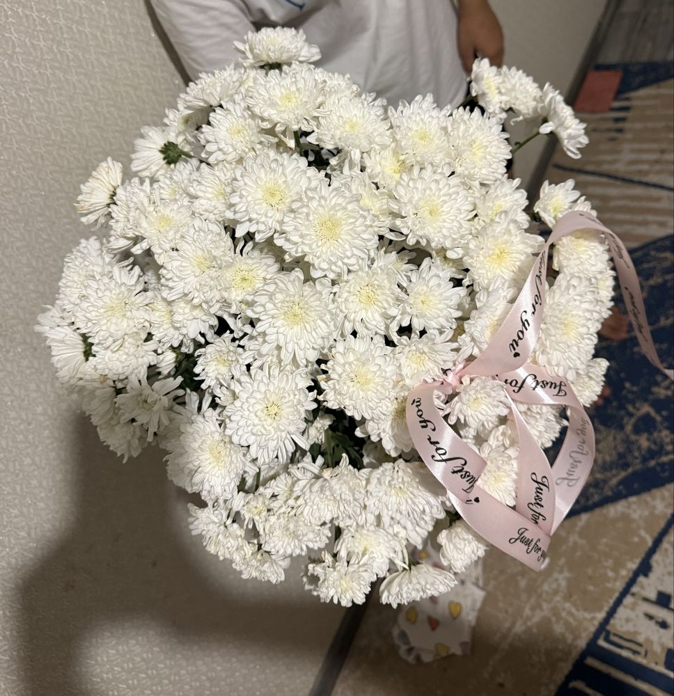 хризантема свежие, 19 штуков