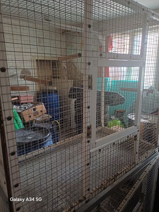 Алуминиеви клетки за птици