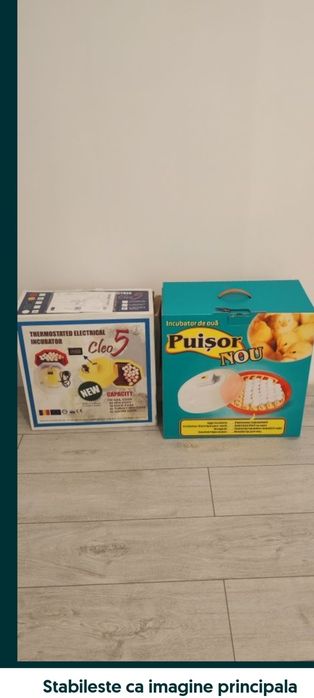 Incubator cleo5 și puisor