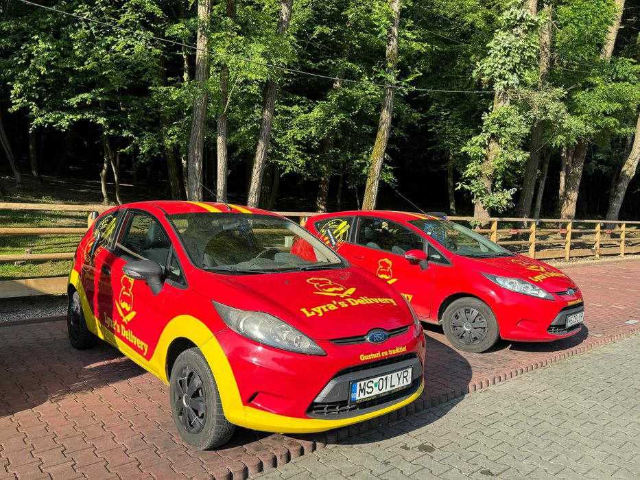 Flotă Auto Livrare de Vânzare – Ford Fiesta
