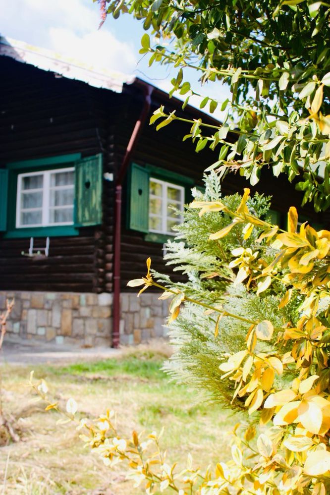 Casa/Conac/Pensiune de vanzare. Oportunitate business!